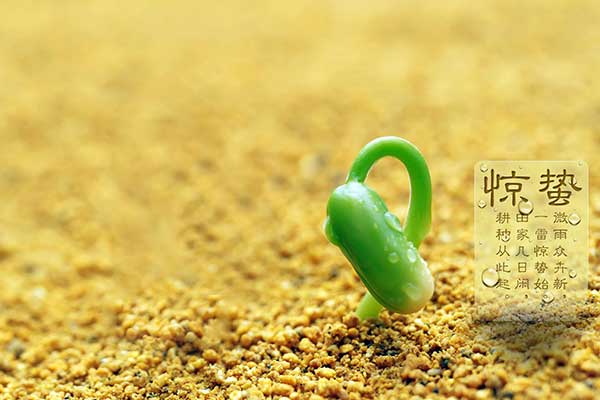 山東巨邦機(jī)械有限公司 | 驚蟄：桃花始開(kāi)，自此